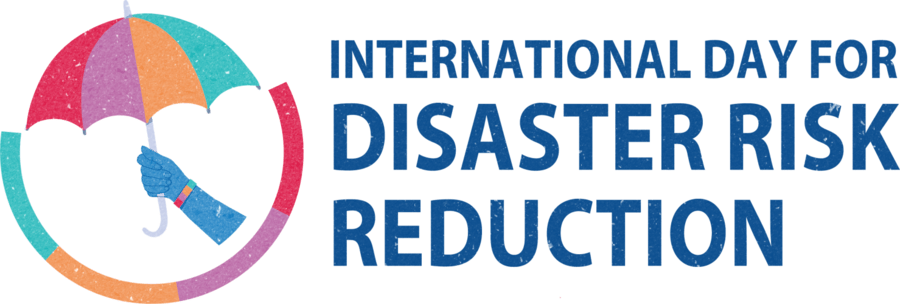 IDDRR Logo