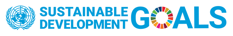 Sustainable Development Goals Logo