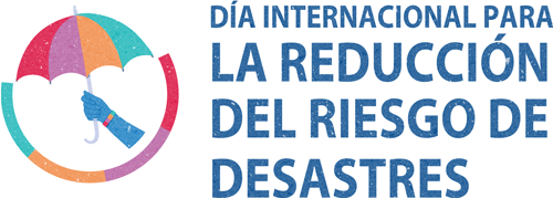 IDDRR Logo