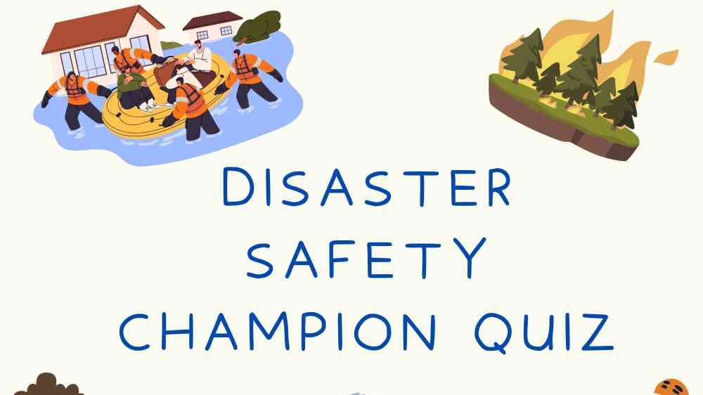 Quiz infographic