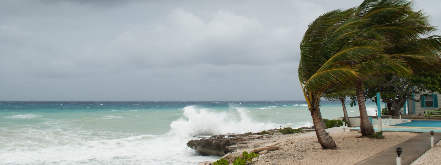 Uni Bahamas and UH partner in island sustainability on IDDRR IDDRR