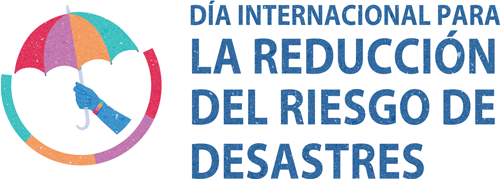 IDDRR Logo