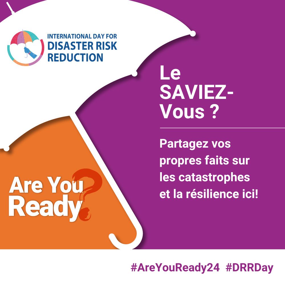 IDDRR 2024 French social card