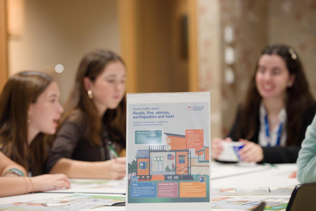 Making choices for a resilient house.