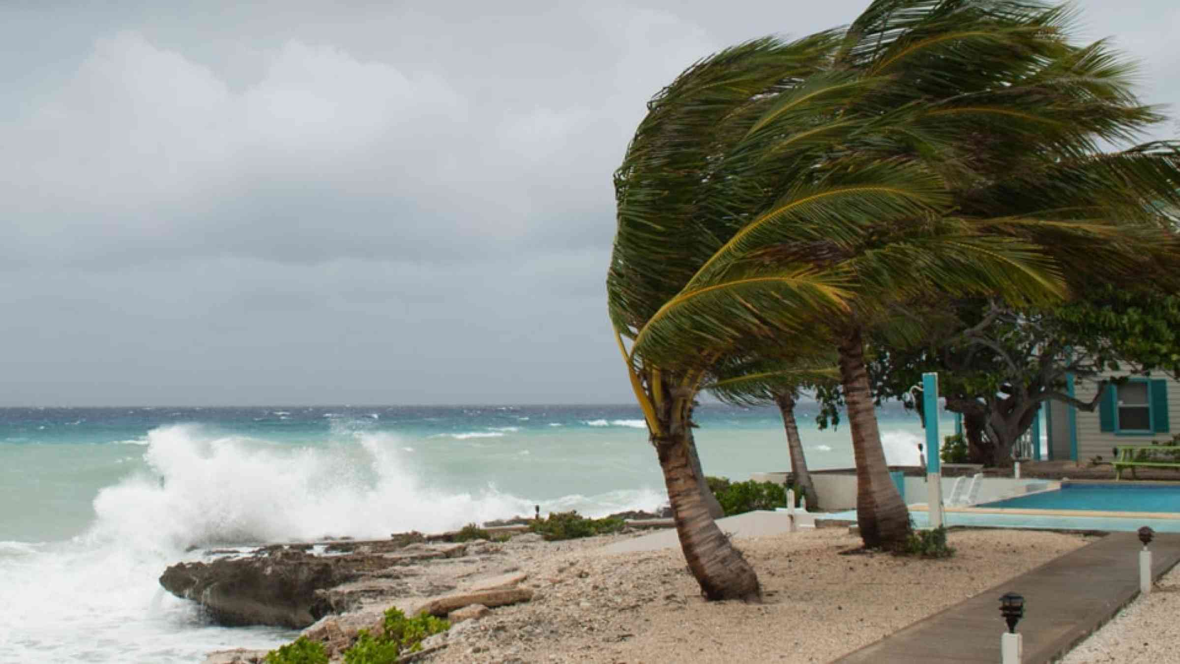 Hurricane winds battering a coast