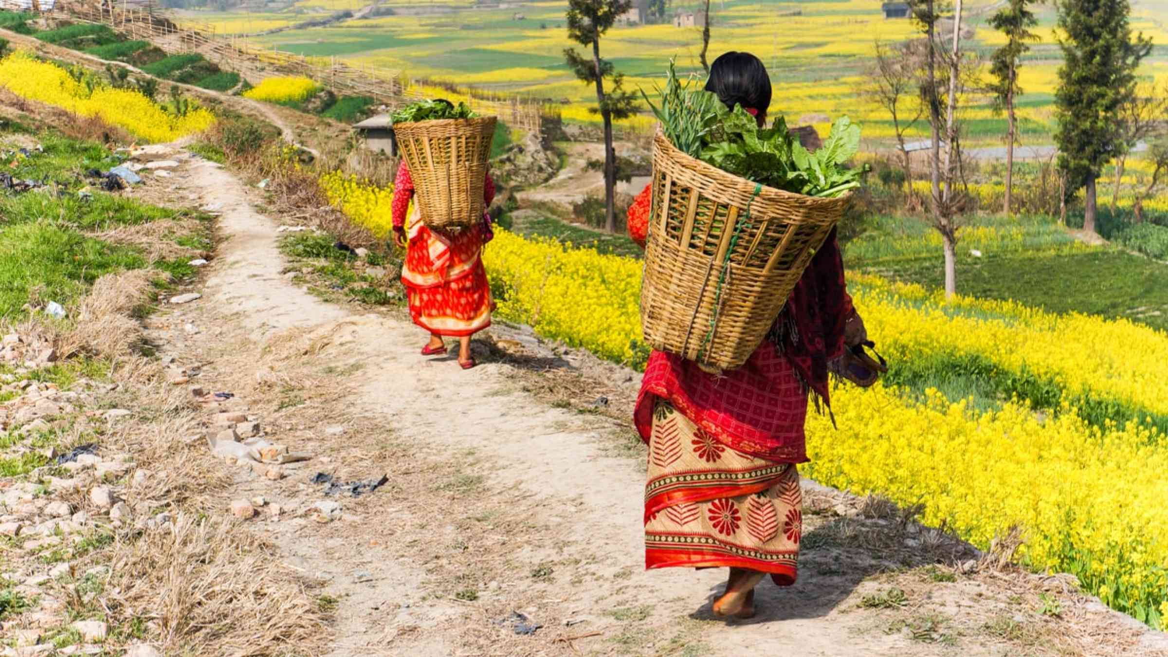Two women walking down a plath carrying baskets, in Nepal