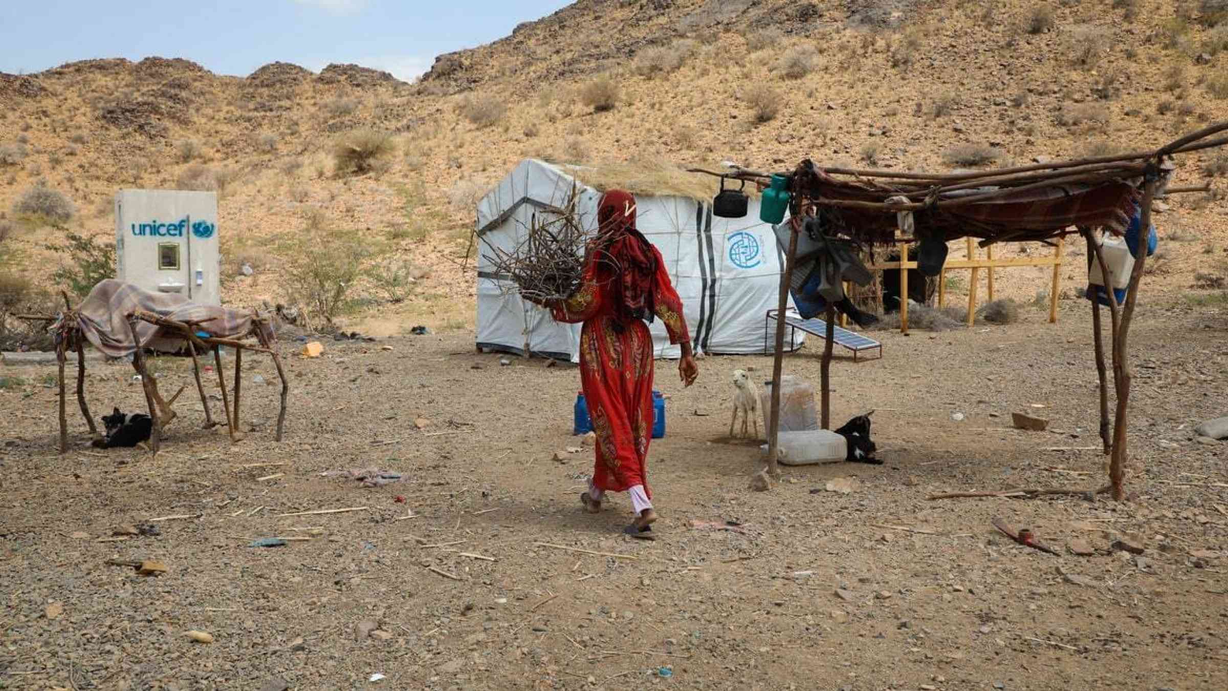 Woman, displaced from war in Yemen, collecting fire wood