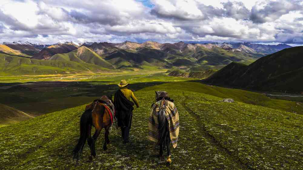  Shepherd going down the mountain 
