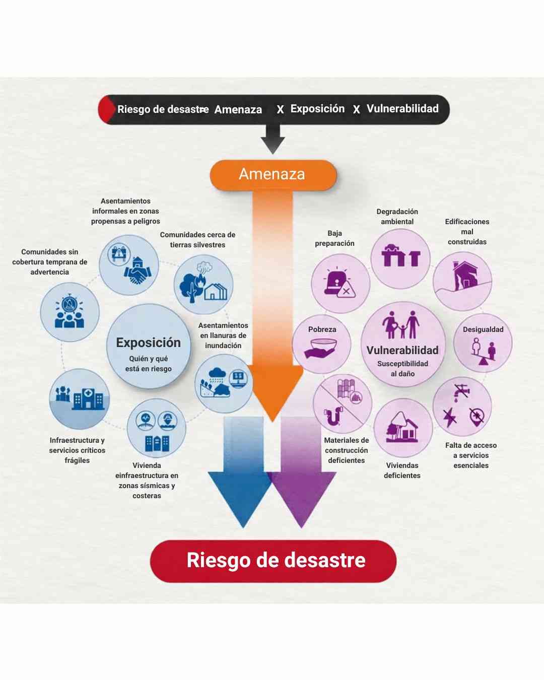 INFO DIRRD